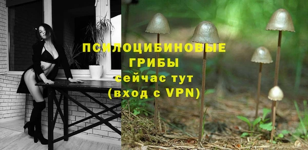 экстази Алексин