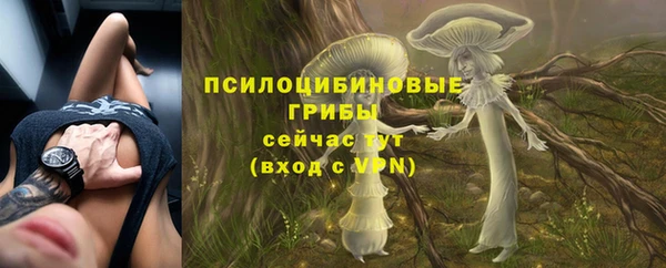 экстази Алексин