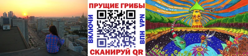 Псилоцибиновые грибы Psilocybe  Новая Ляля 